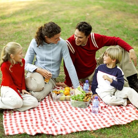 family picnic